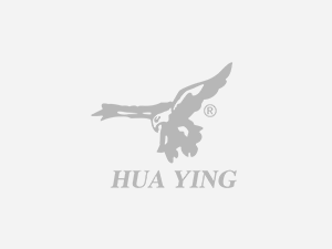 公司環(huán)境